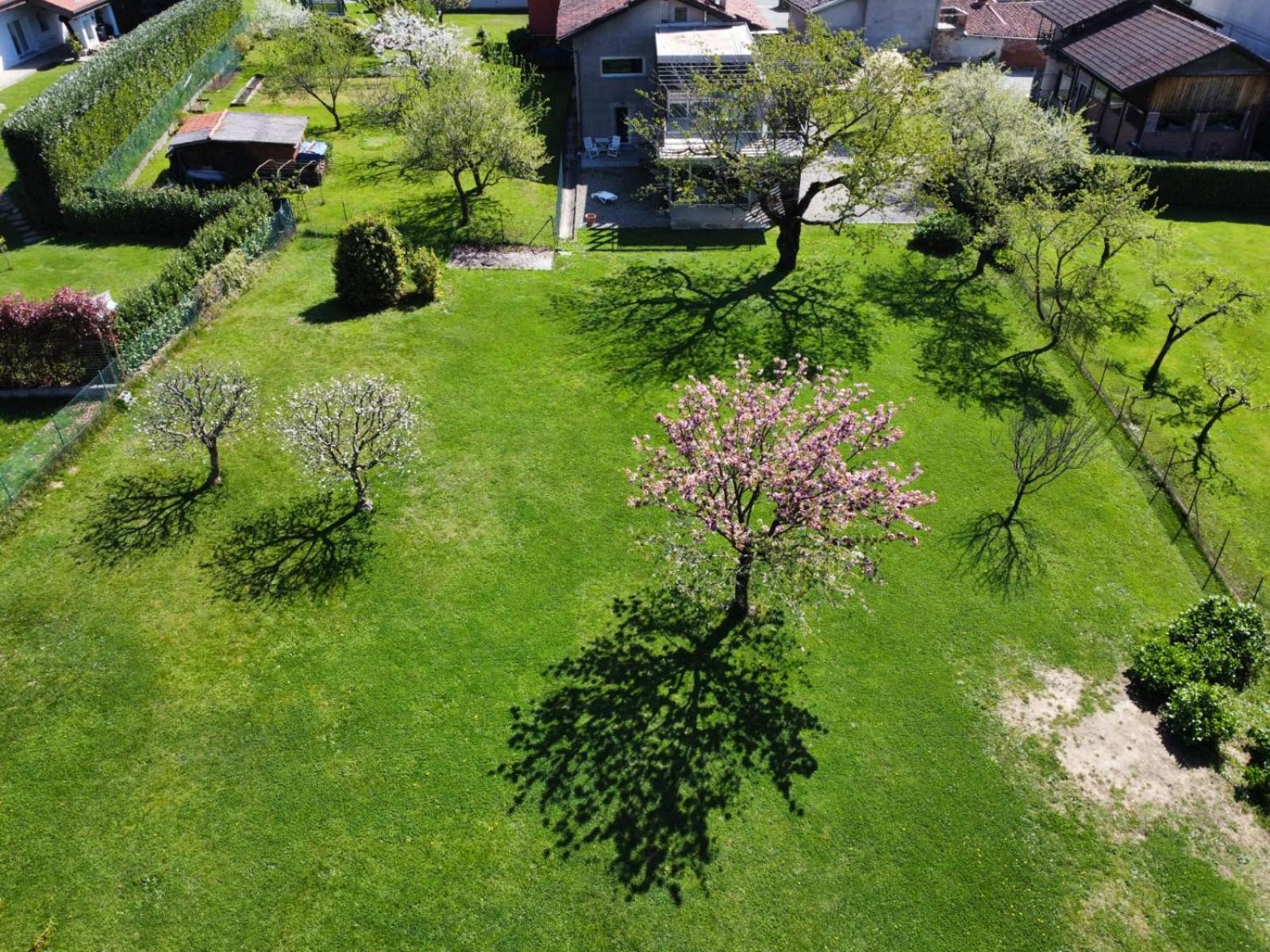 Casa Levis Appartement Biella Buitenkant foto